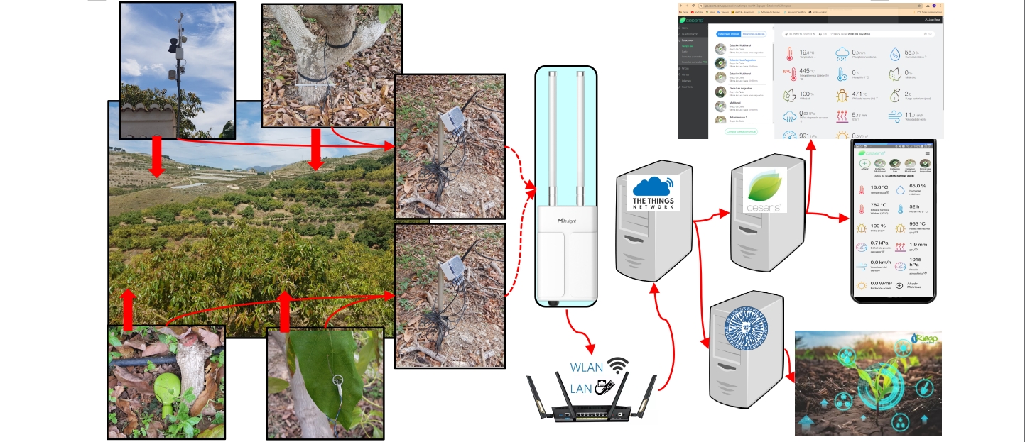 Arquitecturas y Redes de Comunicación