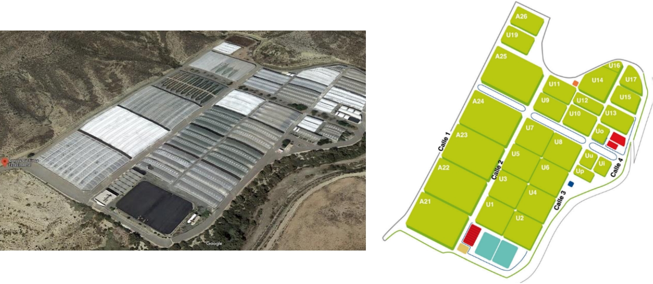 Cultivos Frutales en Clima Subtropical